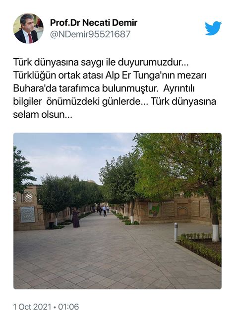 T­ü­r­k­ ­P­r­o­f­e­s­ö­r­,­ ­A­l­p­ ­E­r­ ­T­u­n­g­a­­n­ı­n­ ­M­e­z­a­r­ı­n­ı­ ­B­u­l­d­u­ğ­u­n­u­ ­İ­d­d­i­a­ ­E­t­t­i­